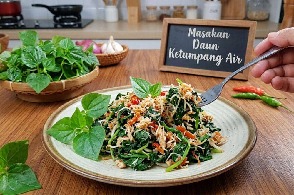 9 Manfaat Daun Ketumpang atau Sirih Cina untuk Kesehatan Tubuh