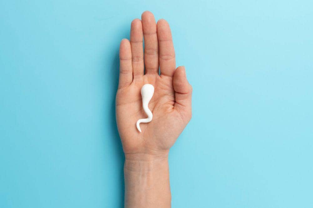 Mitos atau Fakta Alat Kelamin Laki-Laki Bisa Menciut Kalau Sering Begadang 