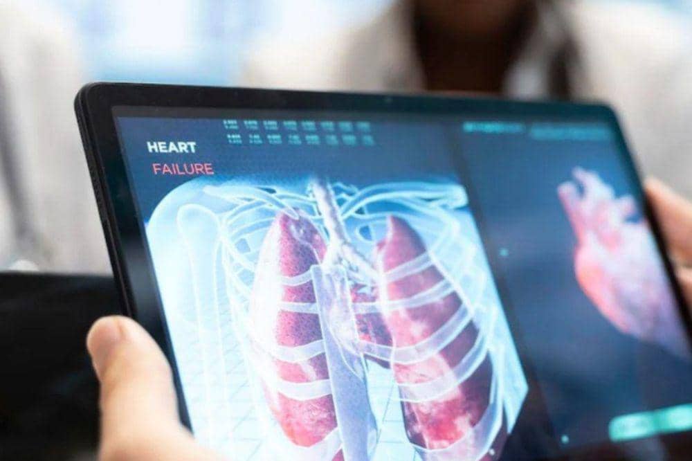 Memeriksa jantung dan paru-paru karena virus Cicada