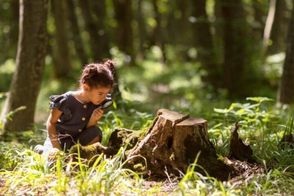 Anak fokus belajar di alam
