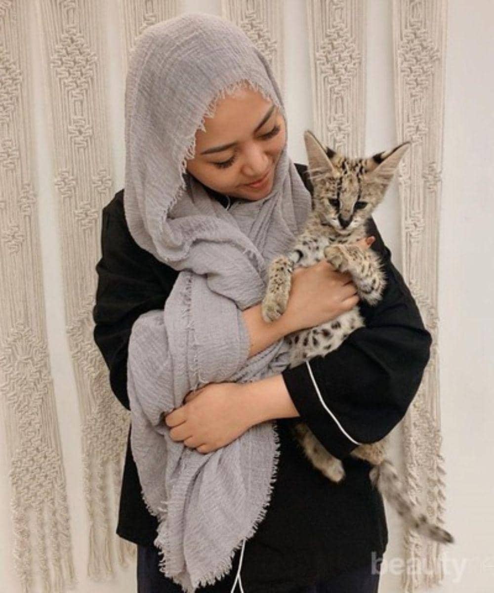 muezza kucing rachel vennya