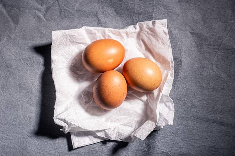 ilustrasi telur
