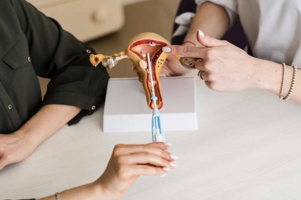 Manfaat Buah Tin untuk Program Hamil 4.jpeg