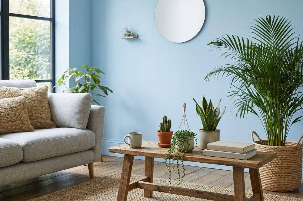 10 Ide Cat Tembok Warna Biru Muda untuk Ruang Tamu 9