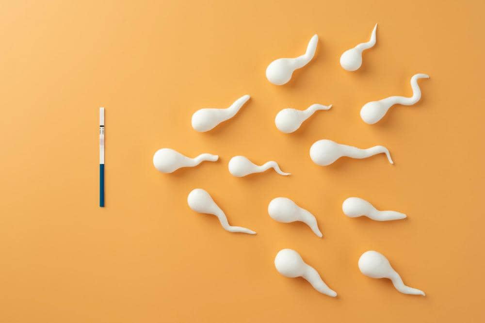 Apakah Obat Kuat Memengaruhi Kualitas Sperma Laki-Laki 3.jpeg
