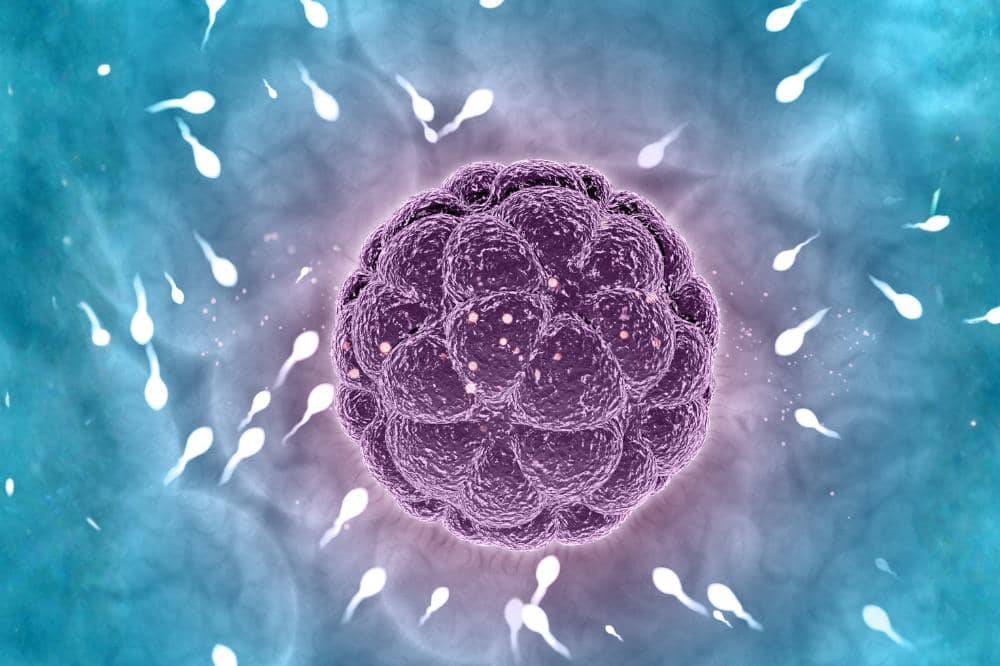 Penyebab Keguguran Bisa Karena Sperma Suami 1.jpeg