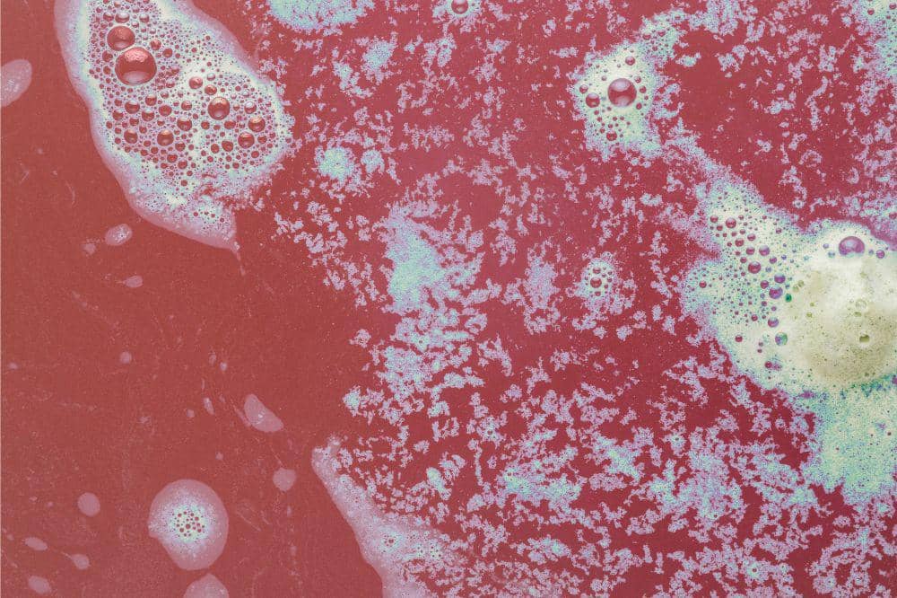 5 Penyebab Kamar Mandi Licin