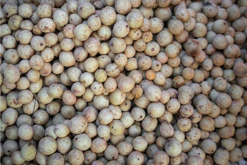 6 Cara Menyimpan Duku