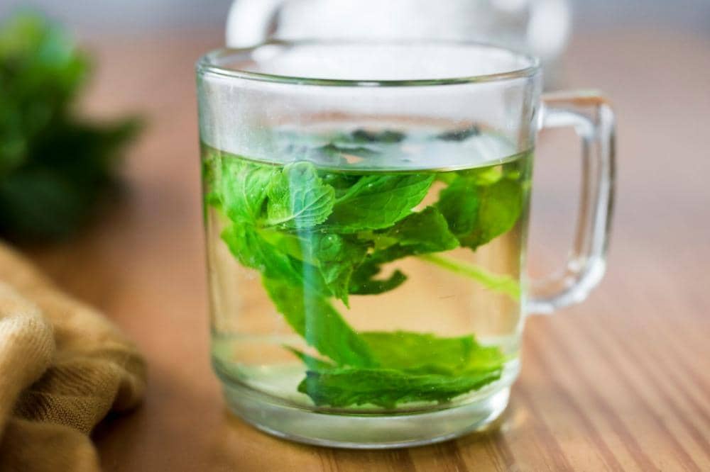 Benarkah Minum Air Daun Sirih Bisa Merapatkan Vagina 4.jpeg