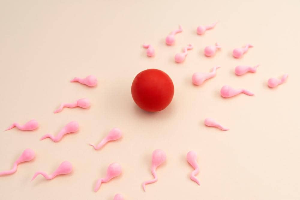 Pengaruh Begadang Pada Perempuan terhadap Kesuburan 3.jpg