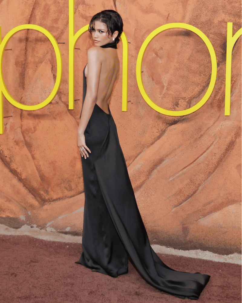 fashion zendaya (1).png