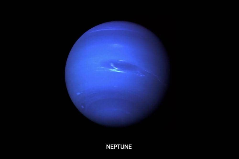 neptunus