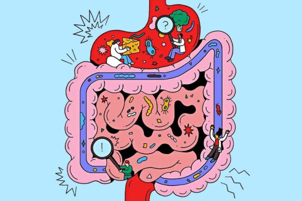 Ilustrasi makanan yang masuk ke dalam sistem pencernaan 