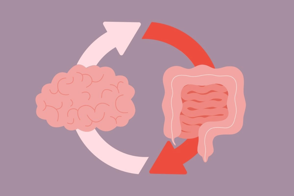 Ilustrasi usus dan otak yang saling berkesinambungan 