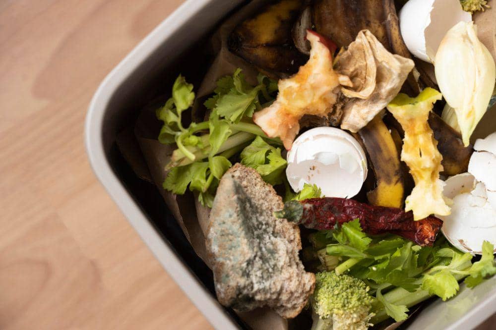 7 Penyebab Rumah Banyak Semut