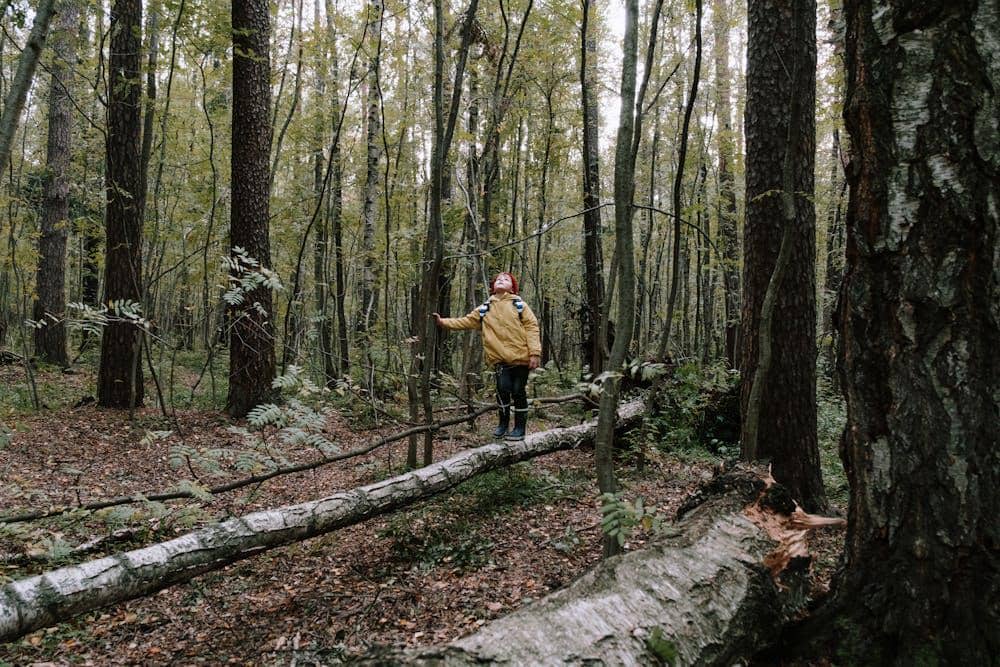 ilustrasi anak di alam