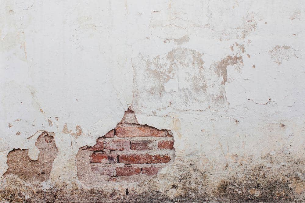 7 Penyebab Rumah Banyak Semut