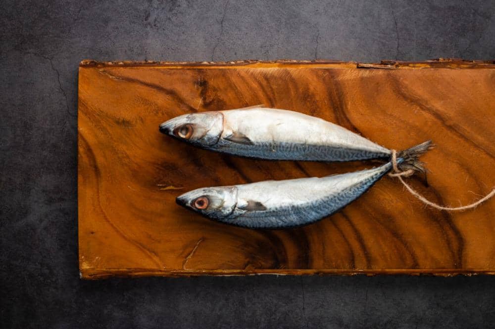 Rekomendasi Ikan dengan Merkuri Rendah 5.jpeg