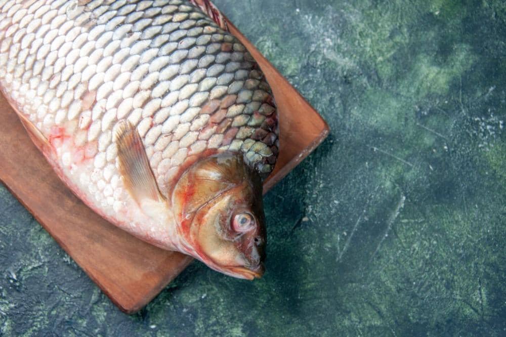 Rekomendasi Ikan dengan Merkuri Rendah 7.jpeg