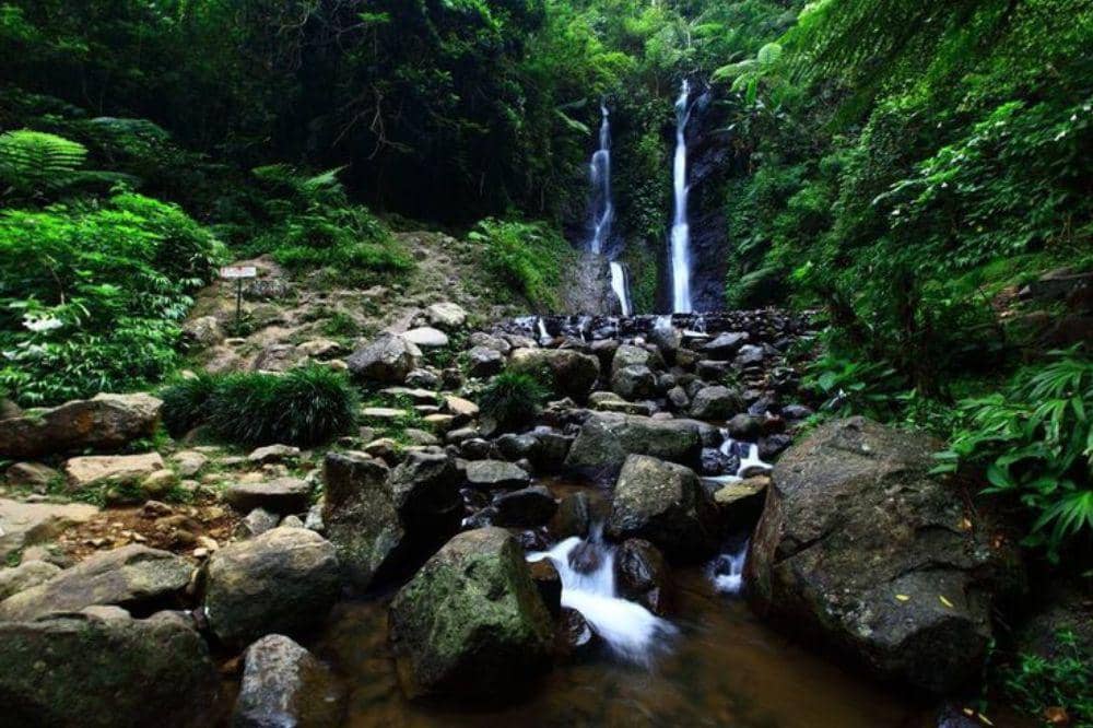 Tempat Wisata di Puncak untuk Keluarga 7.jpg