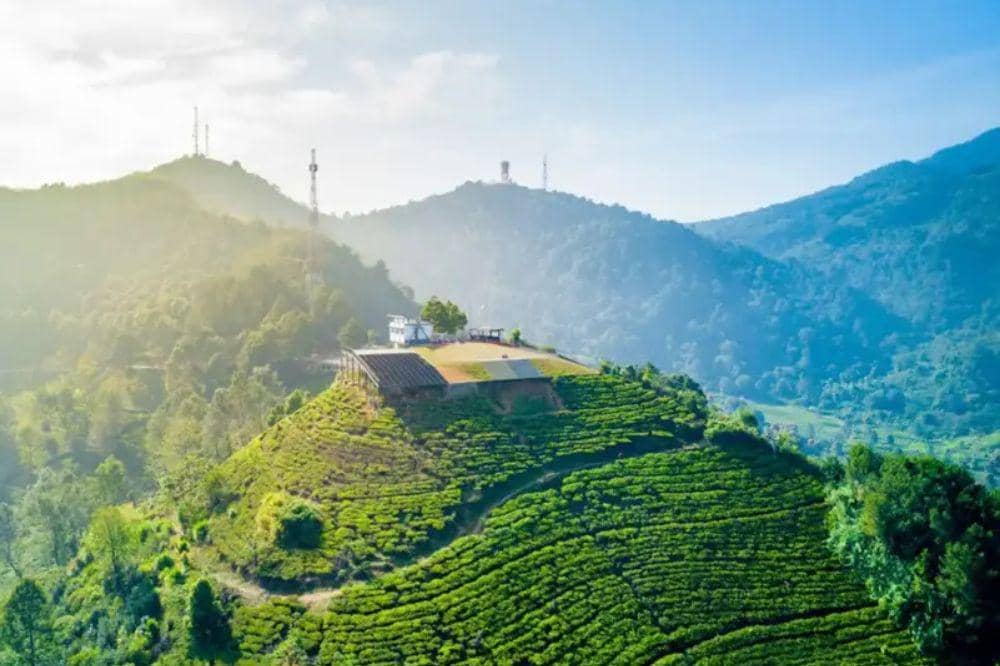 Tempat Wisata di Puncak untuk Keluarga 8.jpg