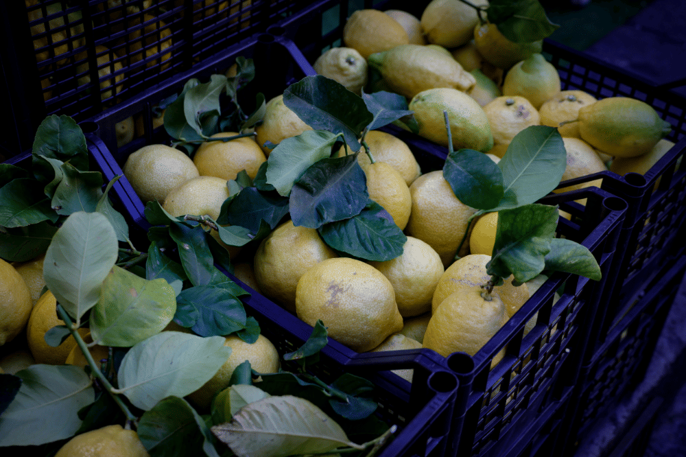 Lemon di dalam keranjang berwarna biru 