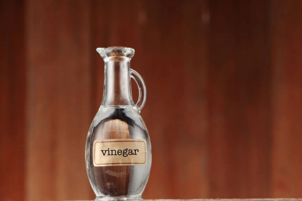 cuka putih di dalam botol cangkir 