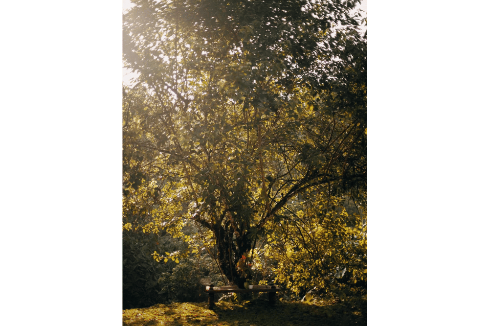 Instagram.com/keenanpearce