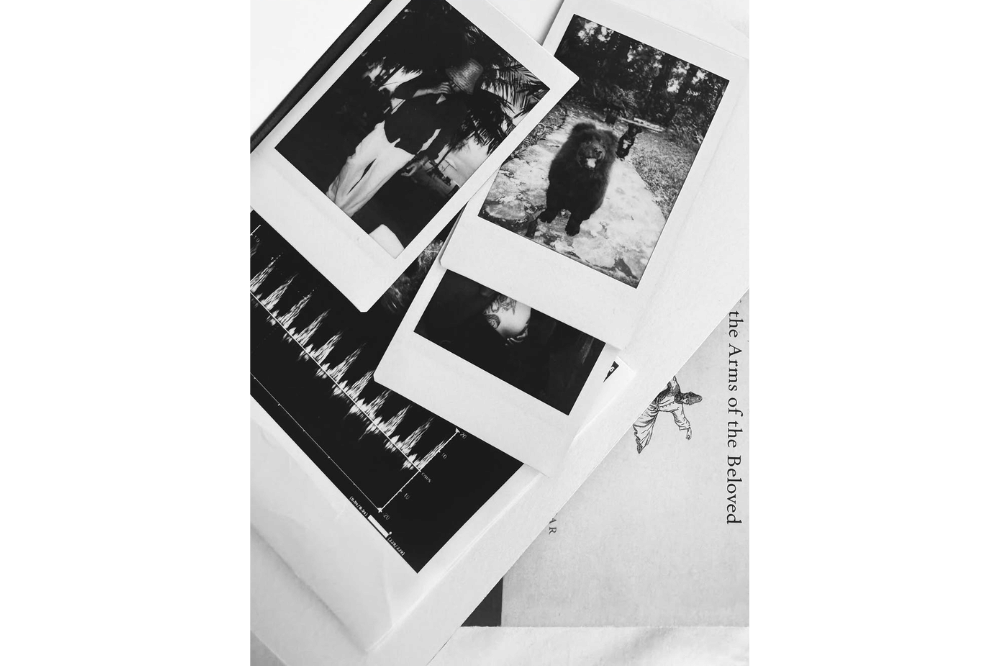 Fakta Kehamilan Tasha Serena, Istri Keenan Pearce 4.png