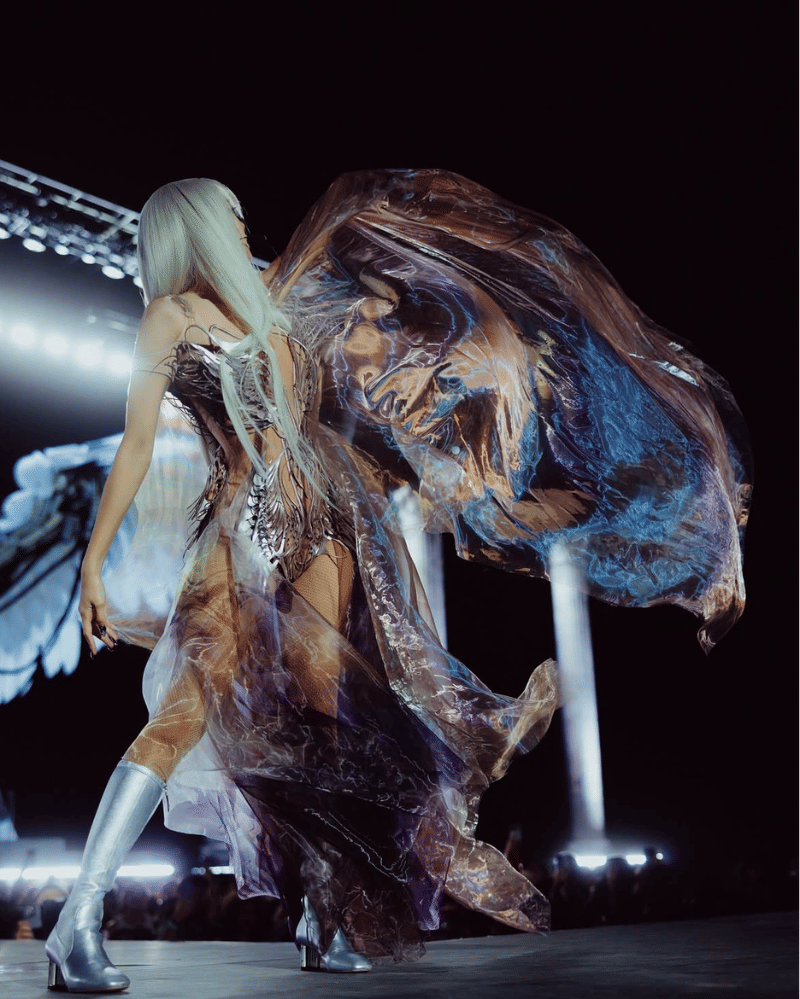 coachella week 2 (3).png