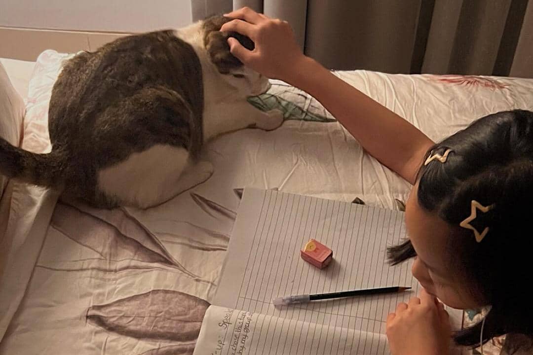 baca buku alodita 4.jpg