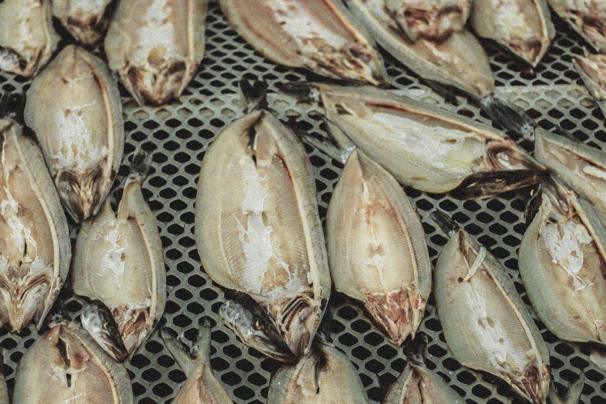 Cara Menyimpan Ikan Asin agar Tahan Lama