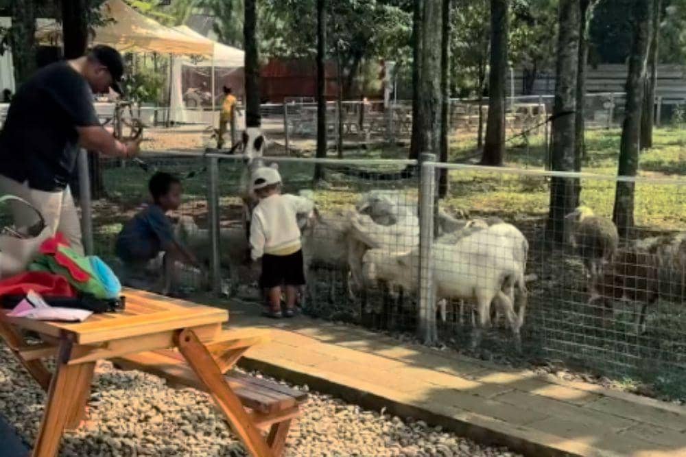 7 Ide Ngedate Bareng Pasangan di Bekasi