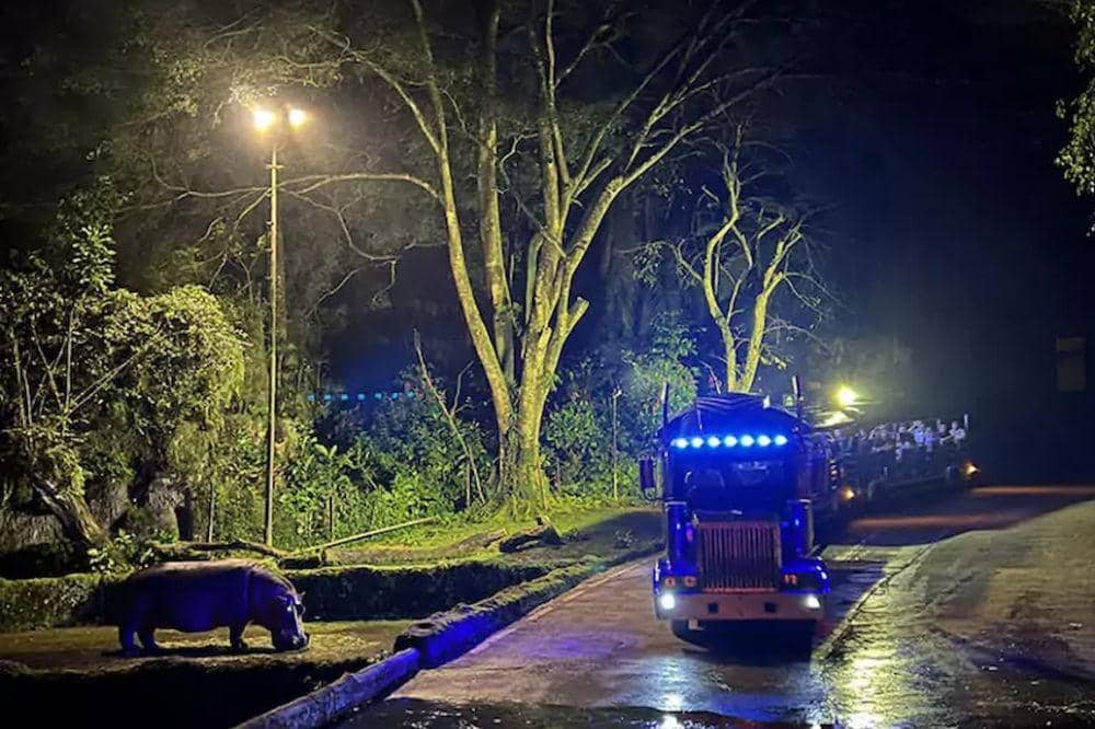 Wisata Malam Bogor 9.jpg