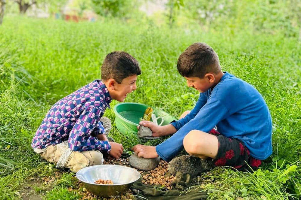 Dua anak laki-laki duduk di rerumputan hijau