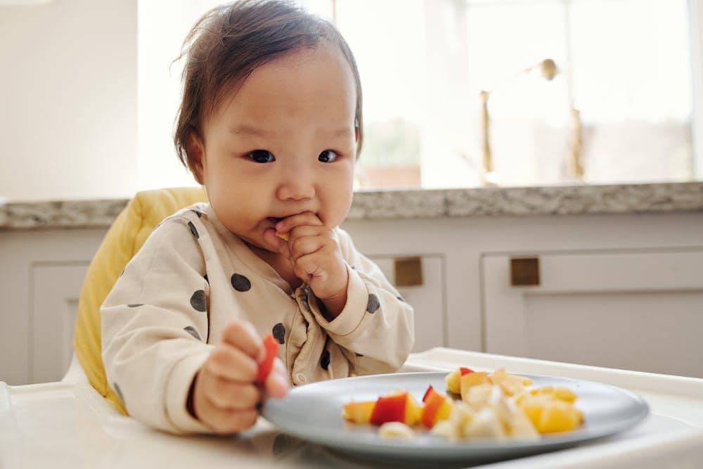 ilustrasi bayi makan