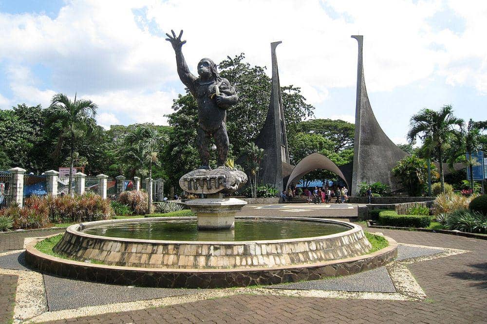 Wisata Malam Khusus di Ragunan yang Seru dan Edukatif