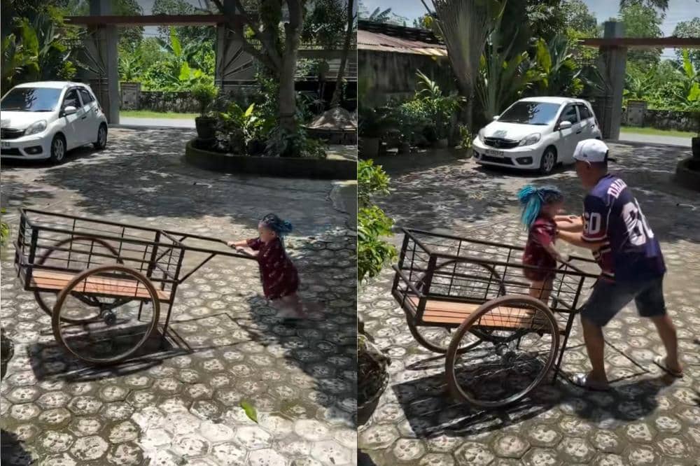 Briella "Bayi Samson" mendorong gerobak