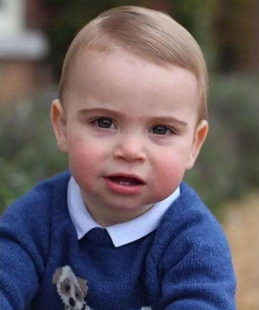 Transformasi Pangeran Louis 