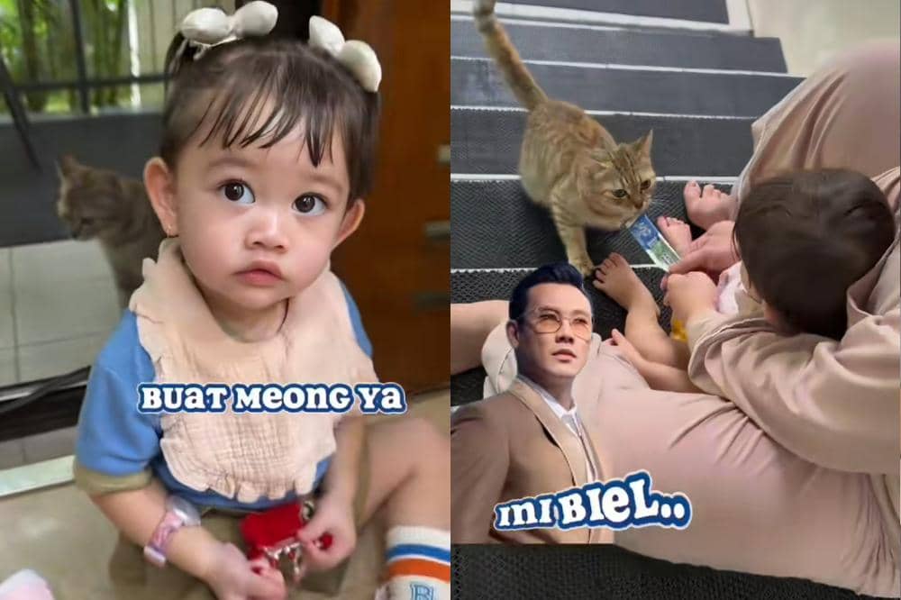 Gabriella Sumargo memberi makan kucing