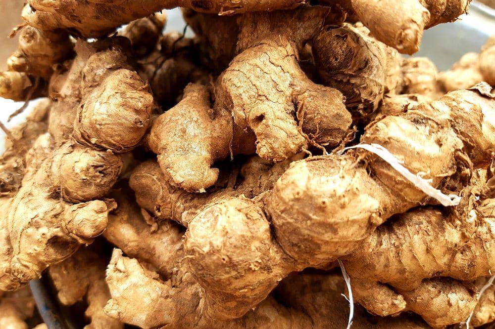 Obat Maag Herbal Paling Ampuh 3.jpg