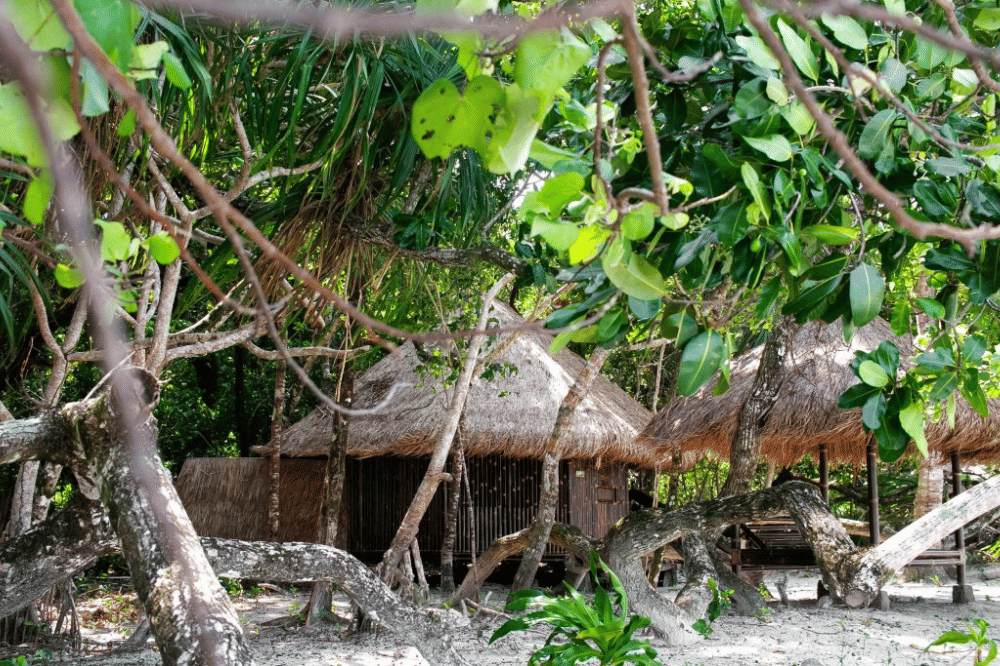  6 Penginapan Dekat Pantai Ujung Kulon dengan Nuansa yang Tenang (5).png