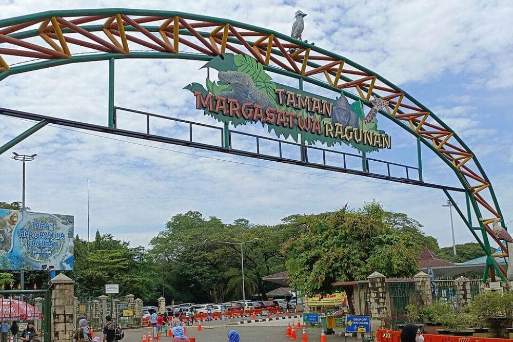Wisata Malam Khusus di Ragunan 3.jpg