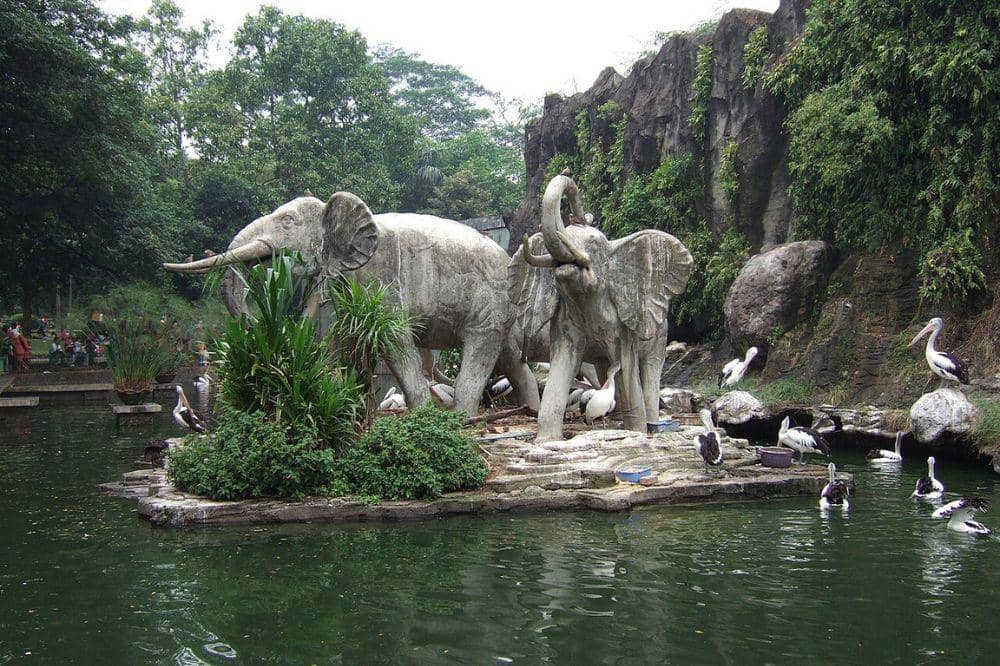 Wisata Malam Khusus di Ragunan 2.jpg