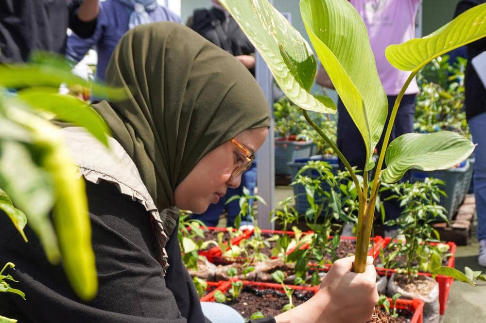 Menanam pohon dalam perayaan 50 tahun The Body Shop