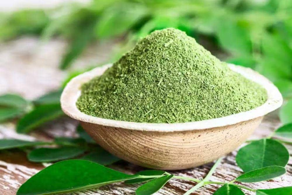 Bubuk daun kelor