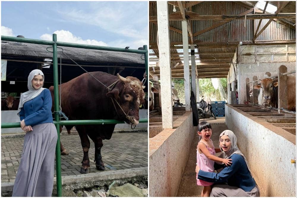 Artis yang Melakukan Qurban di Idul Adha 2026