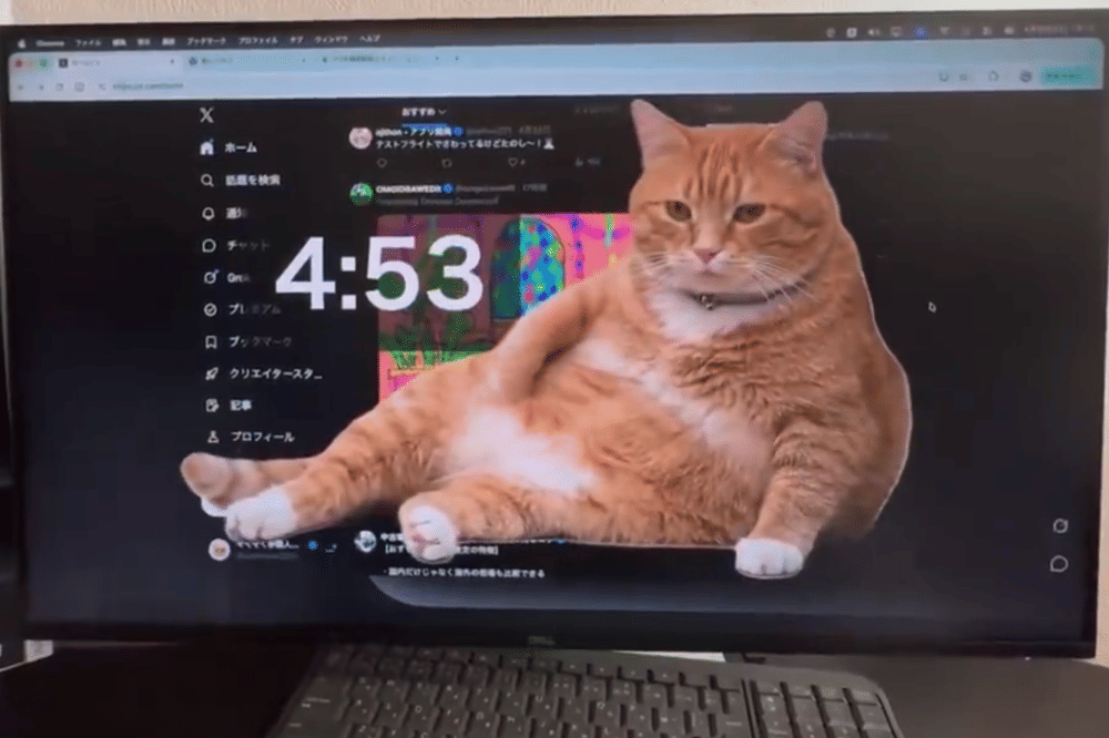 Cara Pasang Cat Gatekeeper di Browser untuk Atasi Doomscrolling (2).png