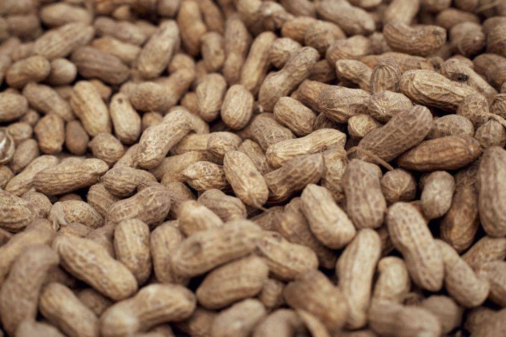 Cara Konsumsi Kacang Tanah untuk Penderita Diabetes 2.jpg