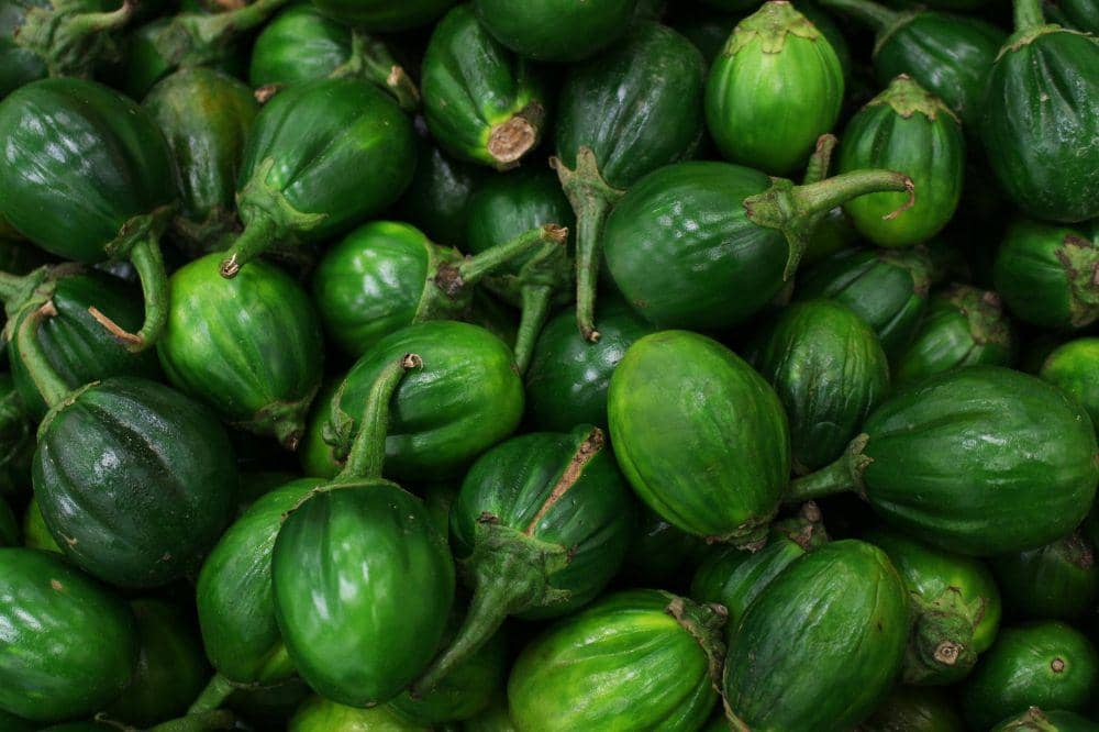 10 Manfaat Terong Hijau bagi Kesehatan, Bisa Bikin Awet Muda!